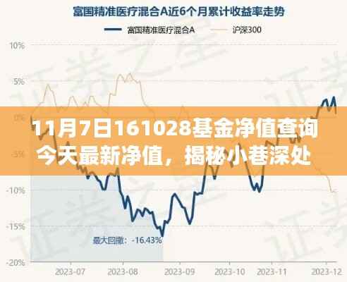 揭秘小巷深处的宝藏基金净值与美食奇缘——今日最新净值查询(基金代码,161028)