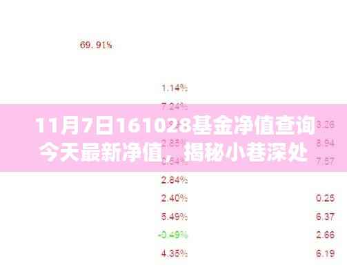 揭秘小巷深处的宝藏基金净值与美食奇缘——今日最新净值查询(基金代码,161028)