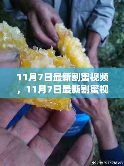 在线留言 第381页