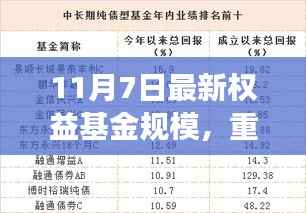 揭秘11月7日最新权益基金规模，洞悉市场新动态