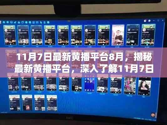 揭秘最新黄播平台更新特色与体验,深入了解11月7日最新版本揭秘
