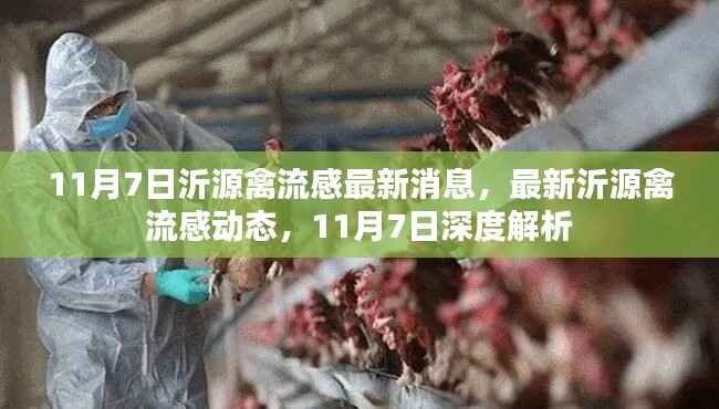 沂源禽流感最新动态与深度解析,11月7日更新
