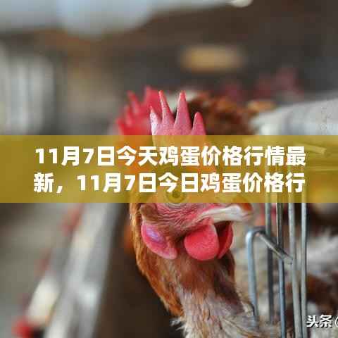 在线留言 第370页
