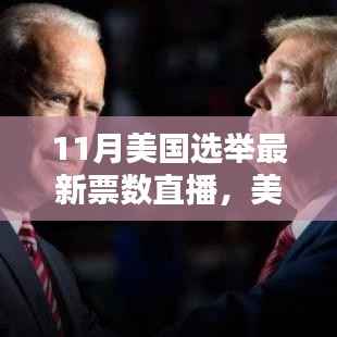 11月美国选举最新票数直播,全方位指南追踪选举结果