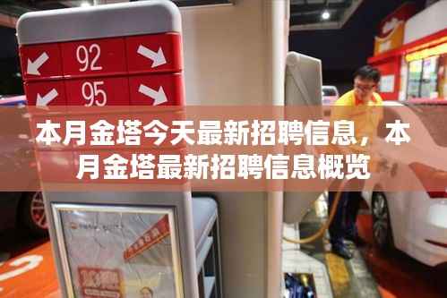 本月金塔最新招聘信息概览,今日招聘信息全解析