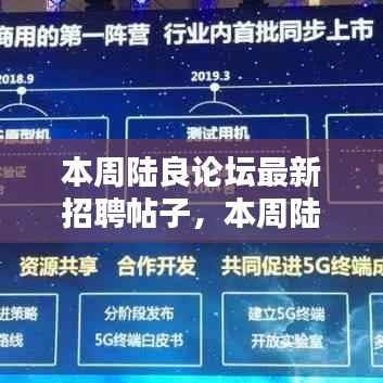 陆良论坛本周最新招聘帖子详解与介绍