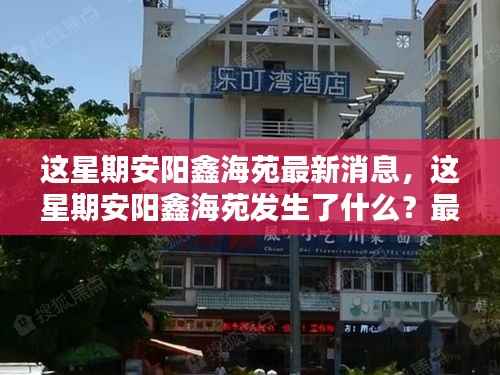 安阳鑫海苑本周动态,最新消息全解析