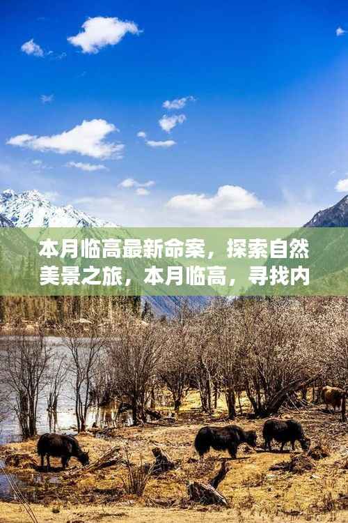 本月临高命案背后的探索之旅,自然美景中寻找内心宁静与和谐