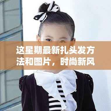 花开无言 第13页