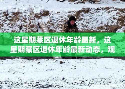 张牙舞爪 第14页