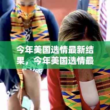 美国大选最新结果深度解析与案例分析,选情趋势分析报告