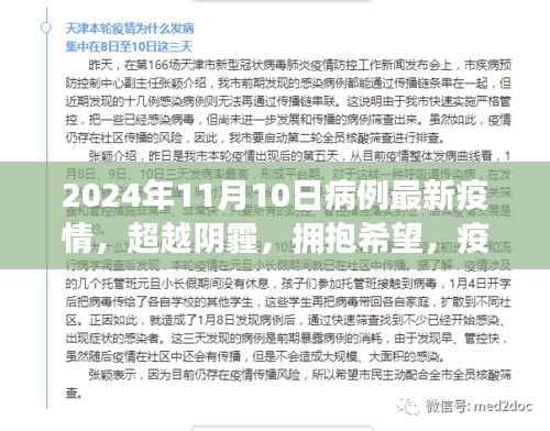 疫情阴霾下的希望之光,励志故事与未来展望——2024年11月病例最新疫情报告
