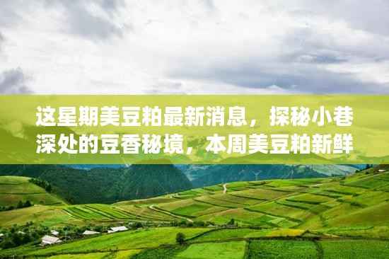 本周美豆粕最新消息与小巷美食小店的奇妙探秘之旅