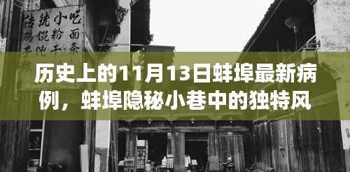 蚌埠隐秘小巷的独特风味与最新病例背后的故事,历史视角下的11月13日纪实