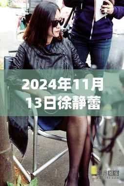徐静蕾最新动态指南,如何跟随她的步伐迈向新高度(附2024年11月更新)