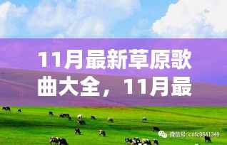 11月最新草原歌曲精选,流行与经典的完美融合
