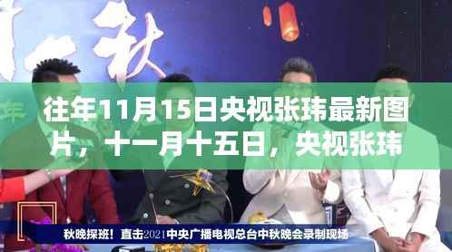 央视张玮最新图片揭秘,十一月十五日的温馨日常