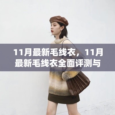 最新毛线衣时尚风潮,全面评测与介绍