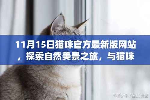 初遇在故事开头 第11页