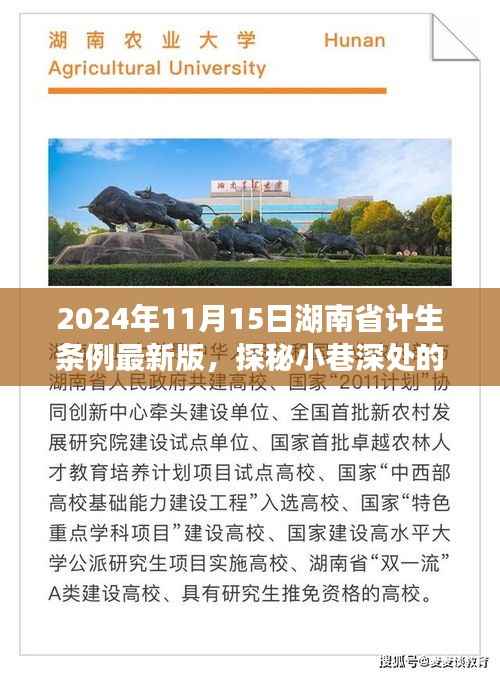 探秘湖南小巷特色小店,2024年湖南省计生条例下的独特风情与最新条例解读