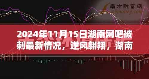 湖南网吧变迁下的励志故事,逆风翱翔开启智慧新篇章的最新进展(2024年11月15日)