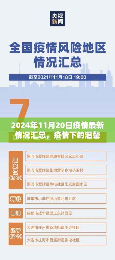 疫情下的阳光时刻,2024年11月20日疫情最新情况及温馨日常