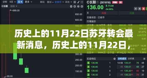 历史上的11月22日苏牙转会最新消息,历史上的11月22日,苏牙转会背后的自然之旅,追寻内心的宁静与微笑