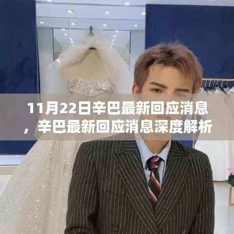 11月22日辛巴最新回应消息,辛巴最新回应消息深度解析(11月22日版)