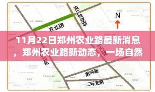 11月22日郑州农业路最新消息，郑州农业路新动态，一场自然美景的探索之旅，寻找内心的平和与宁静