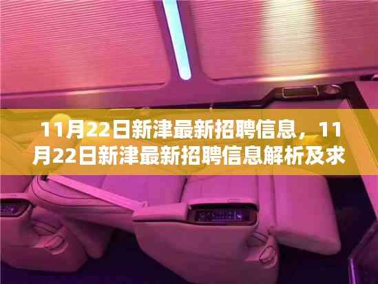 11月22日新津最新招聘信息,11月22日新津最新招聘信息解析及求职策略建议