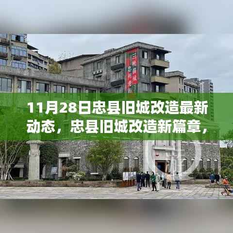 admin 第13页