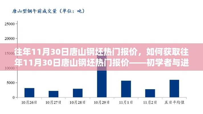 获取往年11月30日唐山钢坯热门报价,初学者与进阶用户指南详解
