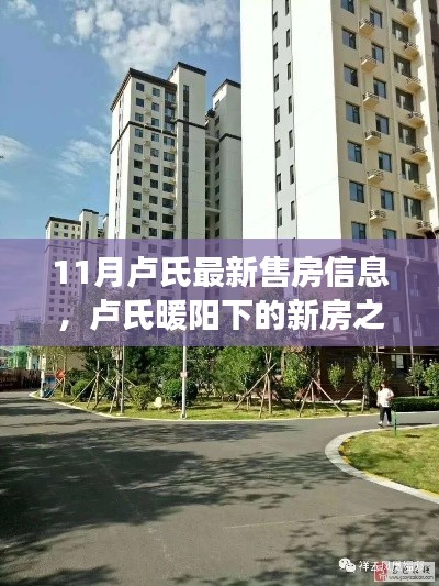 卢氏十一月最新售房信息,暖阳下的新房之旅,友情与家庭的温馨归宿故事