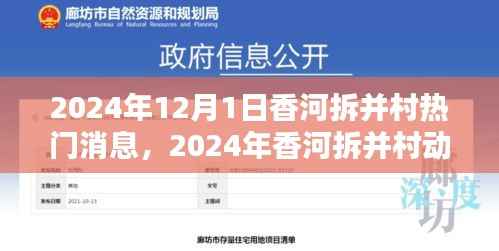 初告白 第5页