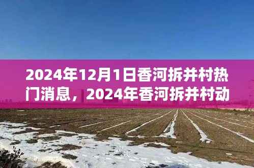 2024年香河拆并村动态深度解析,热门消息下的探讨