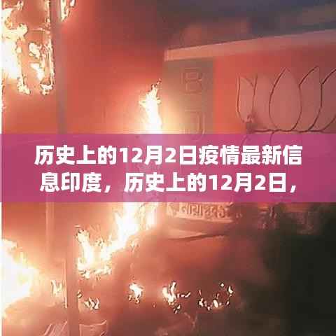 历史上的12月2日,印度疫情最新进展与影响分析