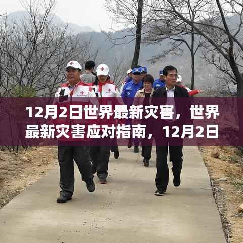 12月2日全球灾害最新动态及应对指南,准备与行动的关键