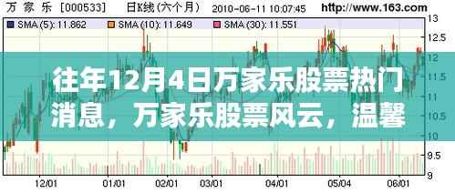 万家乐股票风云,十二月奇迹,股市中的友情与陪伴