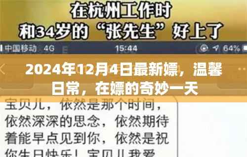 温馨日常与奇妙一天,探索嫖的奇妙世界(2024年12月4日最新)