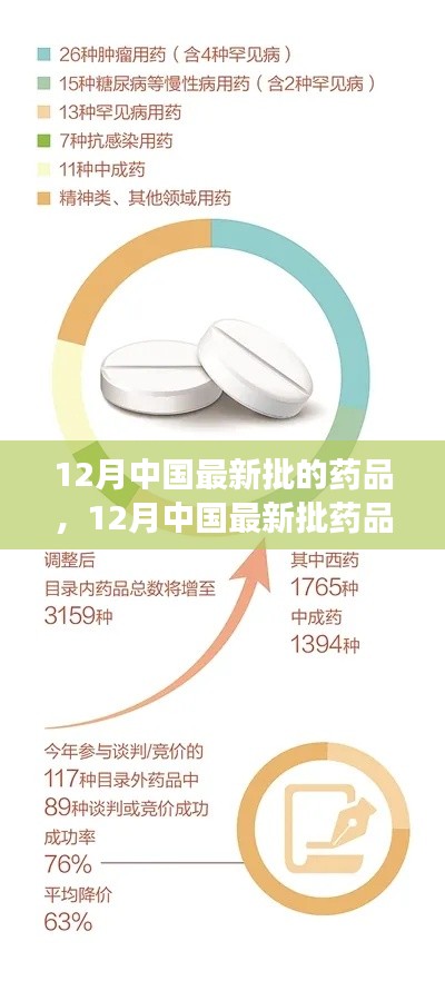 12月最新药品批次指南,获取与使用详解,初学者与进阶用户必读