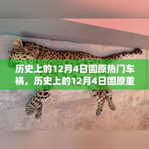 历史上的12月4日固原车祸事件回顾,重大车祸事件深度剖析