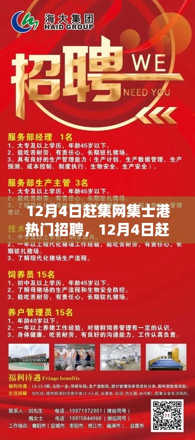 12月4日赶集网集士港热门招聘启航,与自然美景共舞的职业选择