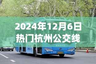 2024年12月6日热门杭州公交线路,杭州公交奇遇记,一条线路,满载友情与温情
