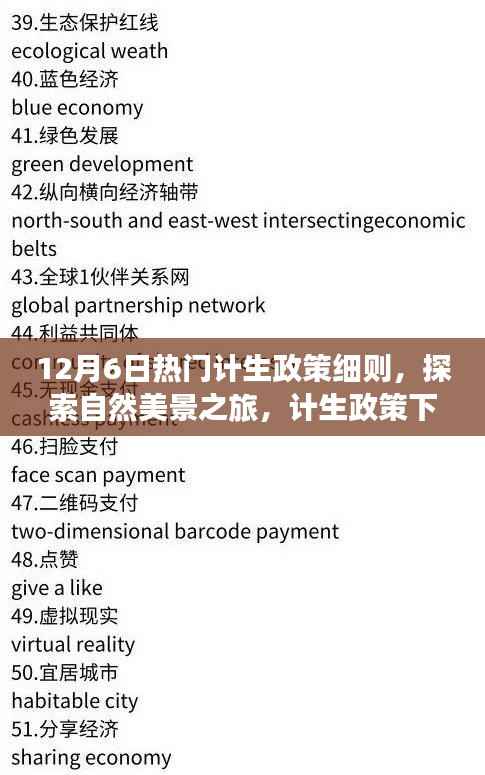 计生政策下的轻松出行,探索自然美景,寻找内心宁静与平和的旅程