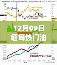 12月09日缅甸油价波动解析,多维度探究背后的原因