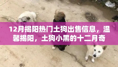 尽心尽力 第2页