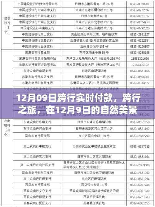 12月9日跨行实时付款之旅,自然美景中的心灵宁静与喜悦探寻