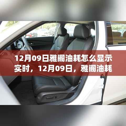 雅阁油耗实时显示指南,油耗与心灵之旅的双重体验