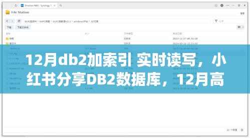 揭秘DB2数据库高效加索引,实时读写秘籍大解密!小红书分享指南!