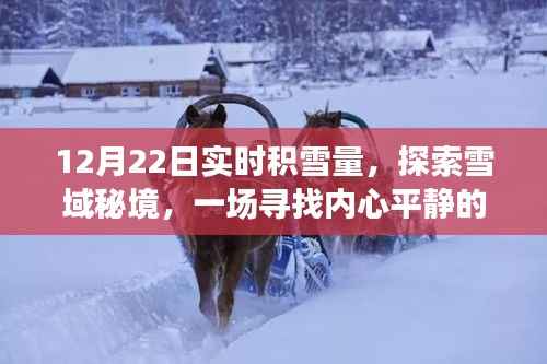 美轮美奂 第2页